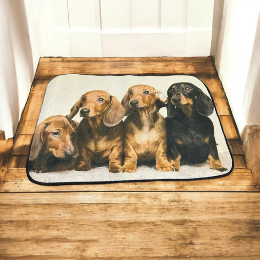 "Adorable Dachshund Door Mat: Welcome Home in Style!"